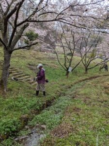 とんぼの里公園清掃作業後、町内会総会を開催しました。